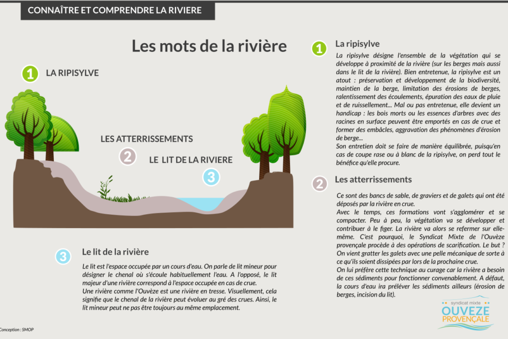 Les mots de la rivière