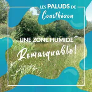 Illustration de la brochure éditée par le SMOP et le CEN PACA sur la zone humide des Paluds de Courthézon (bassin versant de l'Ouvèze Provençale, Vaucluse).