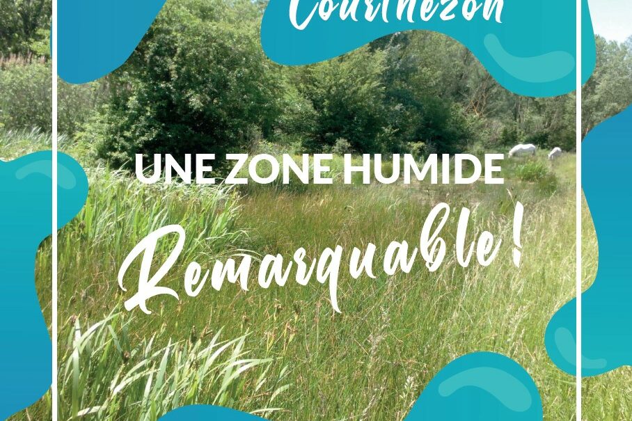 Illustration de la brochure éditée par le SMOP et le CEN PACA sur la zone humide des Paluds de Courthézon (bassin versant de l'Ouvèze Provençale, Vaucluse).