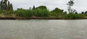 Erosion en pied de digues à Violès sur l'Ouvèze