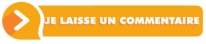 Lien pour laisser un commentaire sur la consultation du projet de PAPI Ouvèze 2025-2031