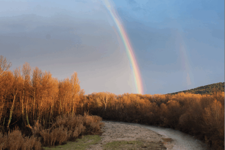 Rapport d'activités 2024 du Syndicat Mixte de l'Ouvèze Provençale