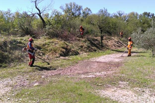 Opération d'entretien et de débroussaillage sur le système d'endiguement de classe B sur le secteur de Sarrians et de Bédarrides