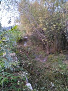 Travaux d'entretien de la végétation sur les affluents de l'Ouvèze à Buis-les-Baronnies