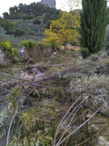 Travaux d'entretien de la végétation sur les affluents de l'Ouvèze à Buis-les-Baronnies