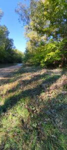 Abattage, élagage et recépage sur le secteur du coude de l'Ouvèze à Bédarrides