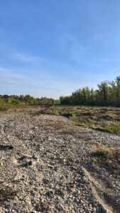 Travaux de scarification sur les atterrissements de l'Ouvèze sur Jonquières Courthézon et Bédarrides
